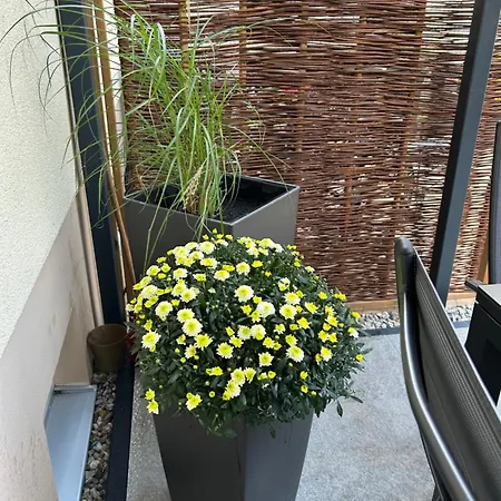 Daire Hecht Leipzig